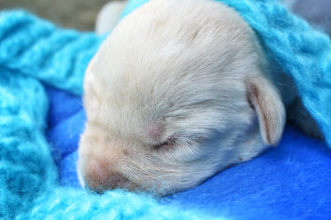 Similar image 8496766