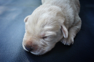 Similar image 8496771