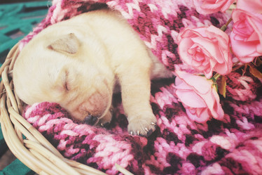 Similar image 8496773