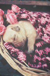 Similar image 8496774