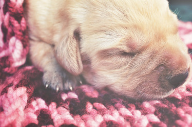 Similar image 8496775