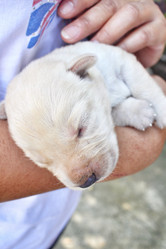 Similar image 8496776