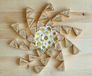 Similar image 8496779