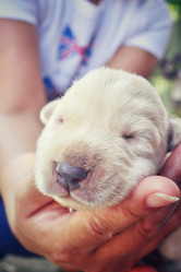 Similar image 8496781