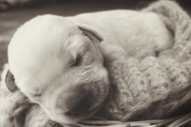 Similar image 8496783