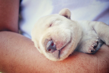 Similar image 8496784