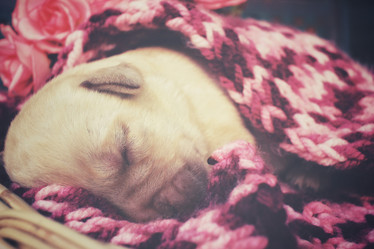 Similar image 8496787