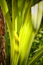 Similar image 8496814