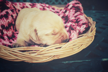 Similar image 8496819