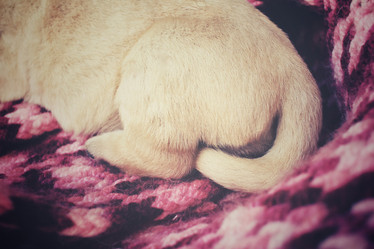 Similar image 8496821