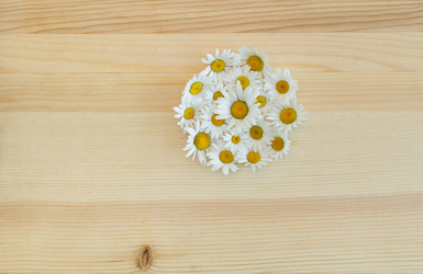 Similar image 8496840