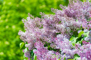 Similar image 8497849