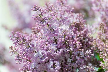 Similar image 8497852