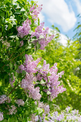 Similar image 8497860