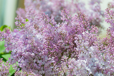 Similar image 8497863