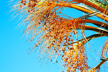 Similar image 8497864