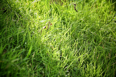 Similar image 8497865