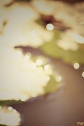 Similar image 8497871