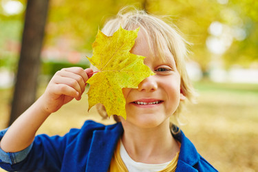 Similar image 8499349