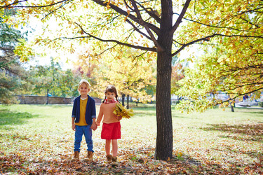 Similar image 8499352