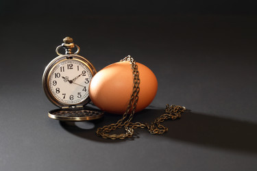 Similar image 8499400