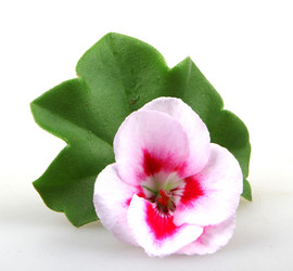 Similar image 8499450