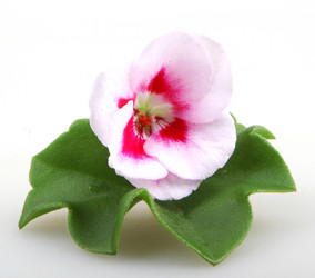 Similar image 8499452