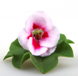 Similar image 8499454