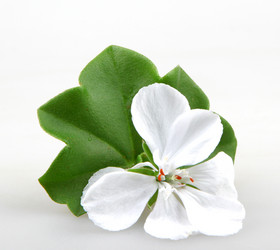 Similar image 8499455