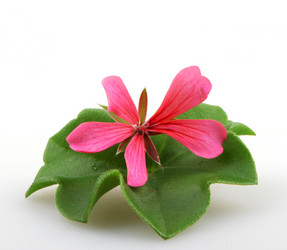 Similar image 8499459