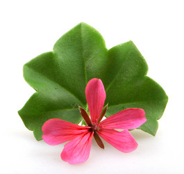 Similar image 8499460