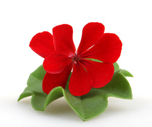 Similar image 8499461