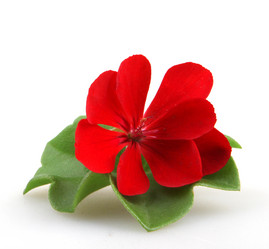 Similar image 8499464