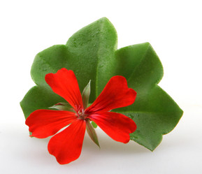 Similar image 8499467