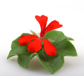 Similar image 8499469