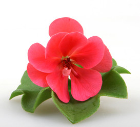 Similar image 8499470