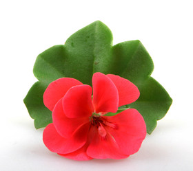 Similar image 8499471