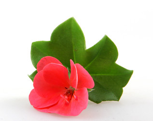 Similar image 8499474