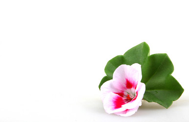 Similar image 8499475