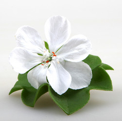 Similar image 8499509