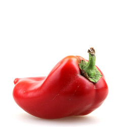 Similar image 8499558