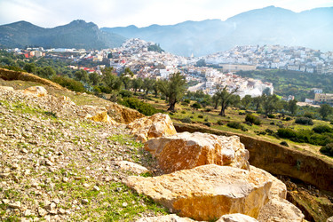 Similar image 8500160