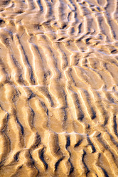 Similar image 8500169