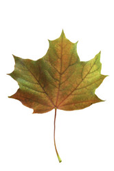 Similar image 8501143