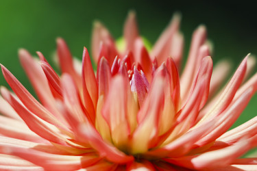 Similar image 8501148