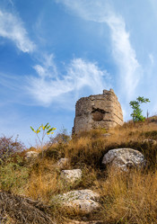 Similar image 8501709