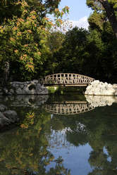 Similar image 8502315