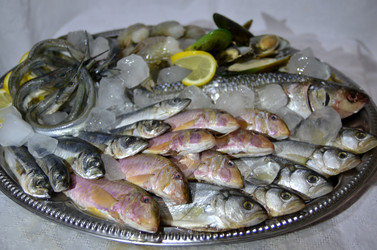 Similar image 8502317