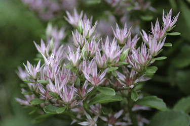 Similar image 8502321