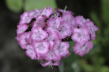 Similar image 8502322